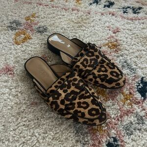 Franco Sarto leopard‎ printed mules